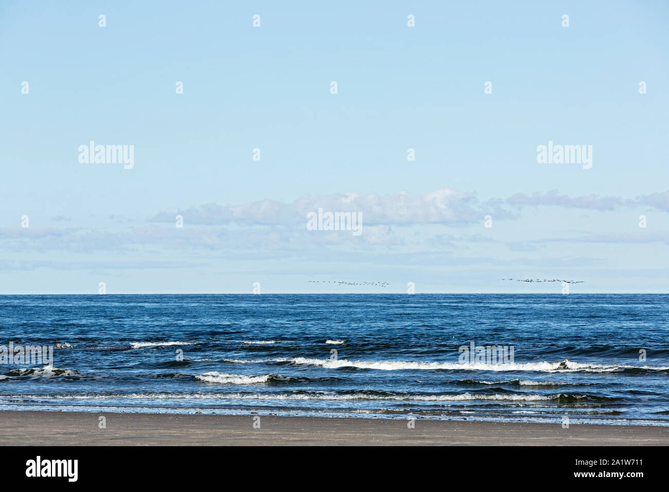 Norderney, Nordstrand, Strand, Meer, Dünung, Wasser, Wellen; Zugvögel Stock Photo