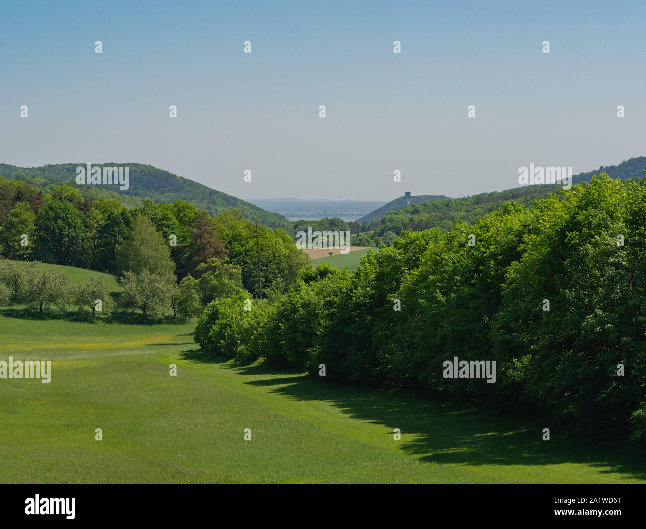 Field an trees and blue sky in summer Stock Photo - Alamy