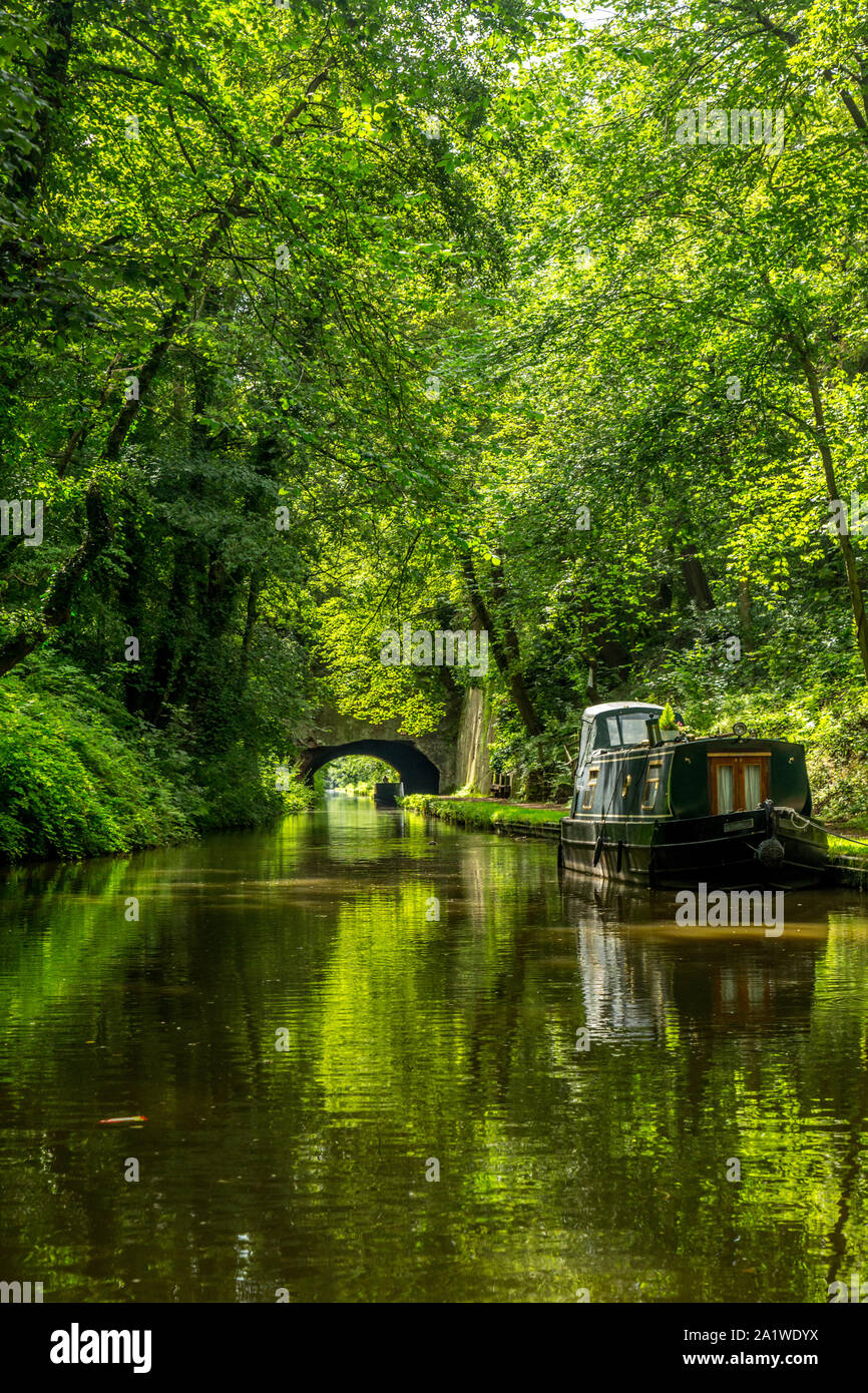 Narrow Boats, or Barges, moored on The Shropshire Union Canal in England. Stock Photo