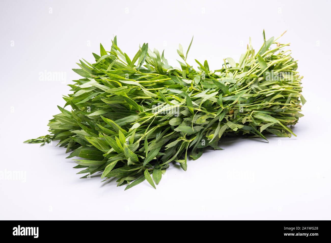 A bunch of Alternanthera sessilis, an aquatic plant used as a vegetable in Asian countries. Stock Photo