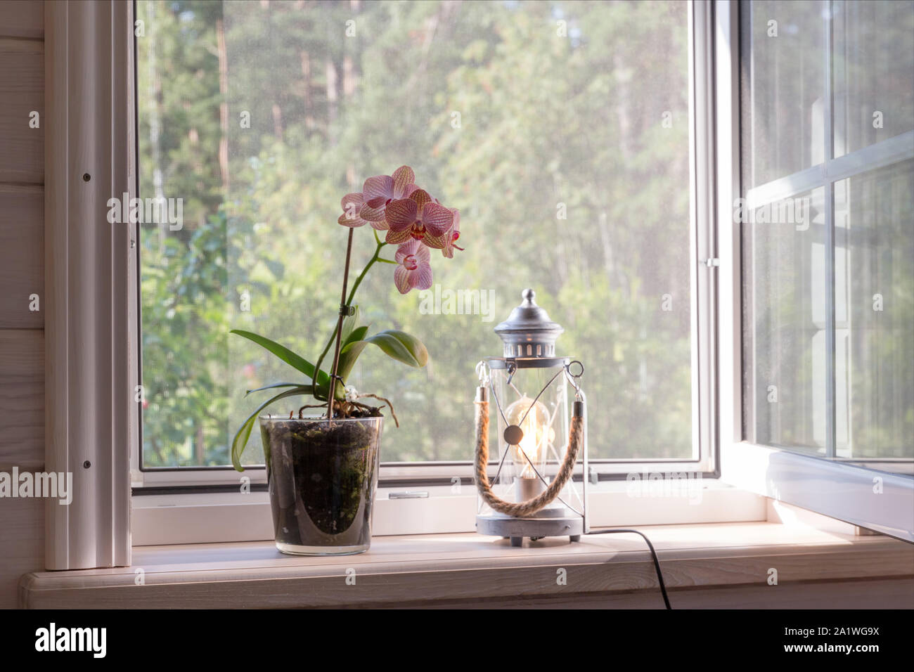 White Window With Mosquito Net In A Rustic Wooden House
