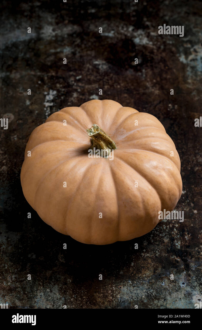 Happy Thanksgiving Background. Close up of a little decorative pumpkin, gourd, on rustic metal background. Autumn Harvest and Holiday minimal still li Stock Photo
