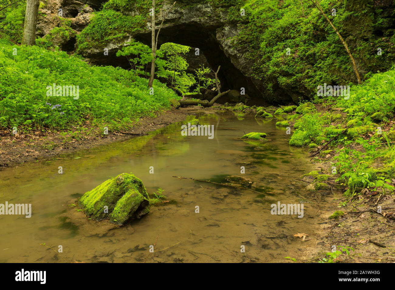 A Creek Traveling Through Natural Bridge Arch In The Woods Stock Photo