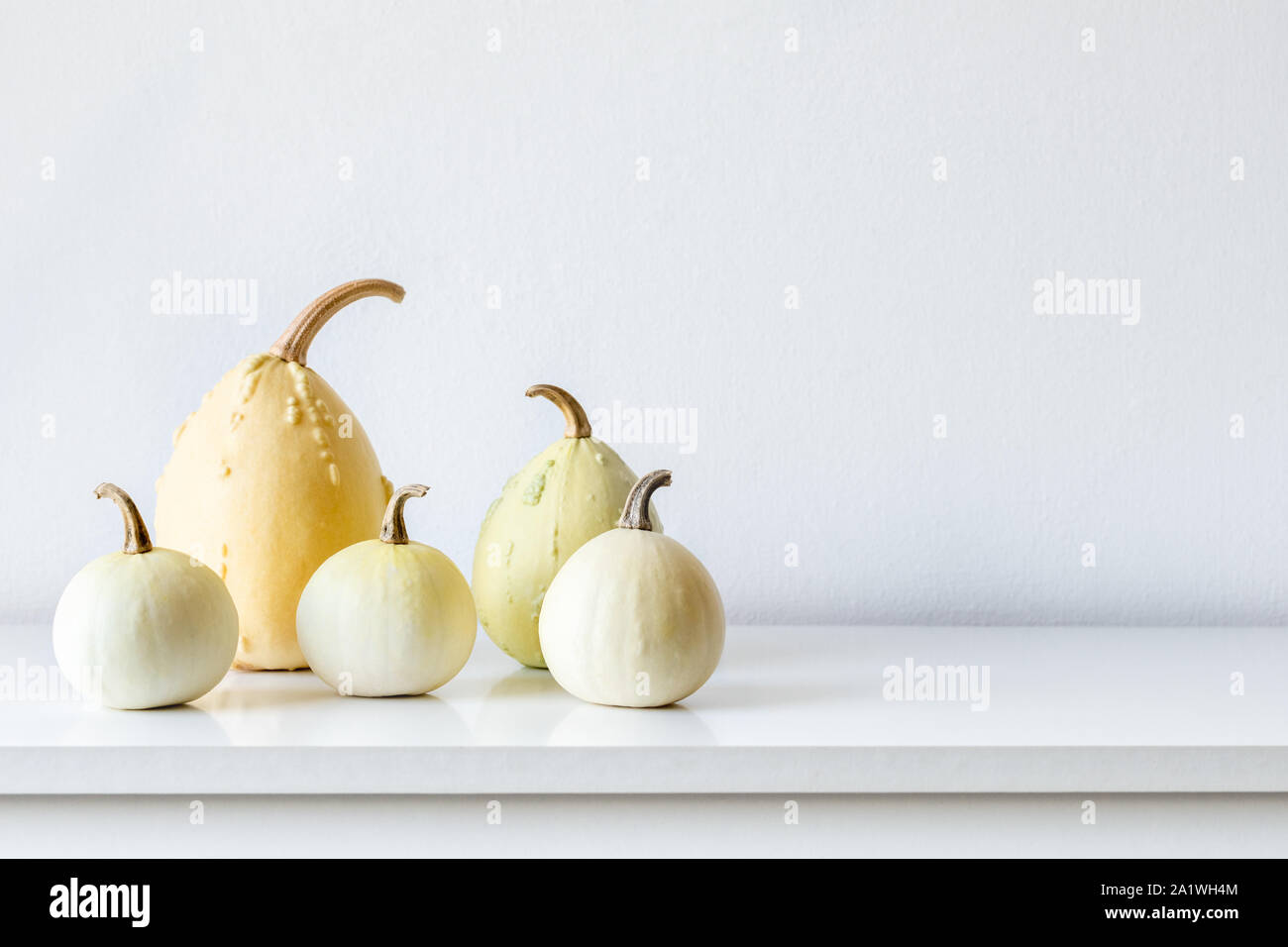 Happy Thanksgiving Background. Selection of various pumpkins on white shelf against white wall. Modern minimal autumn inspired room decoration. Stock Photo