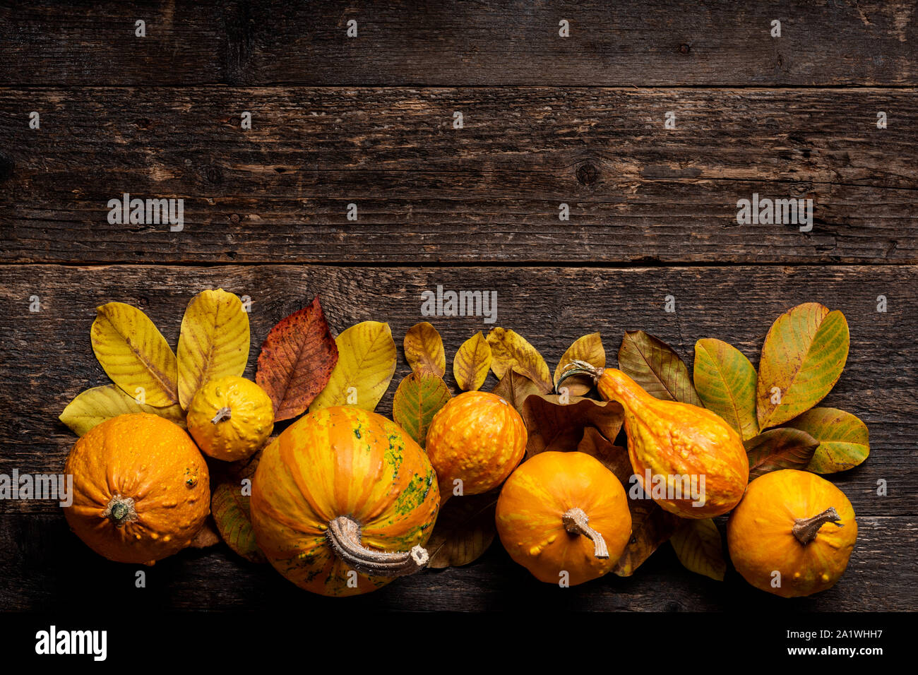 Happy Thanksgiving. Pumpkin and fallen leaves on dark wooden background. Autumn vegetables and seasonal decorations. Autumn Harvest and Holiday still Stock Photo