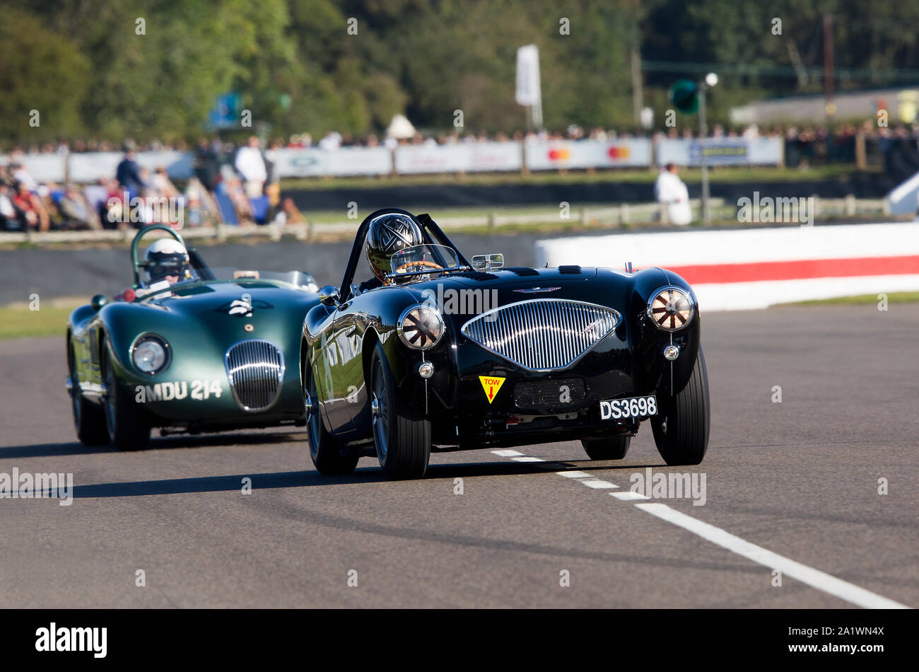 1954 Austin-Healey-Corvette BN1 driven by Michael Lyons in The Freddie March Memorial Trophy race at The Goodwood Revival 14th Sept 2019 in Chichester Stock Photo
