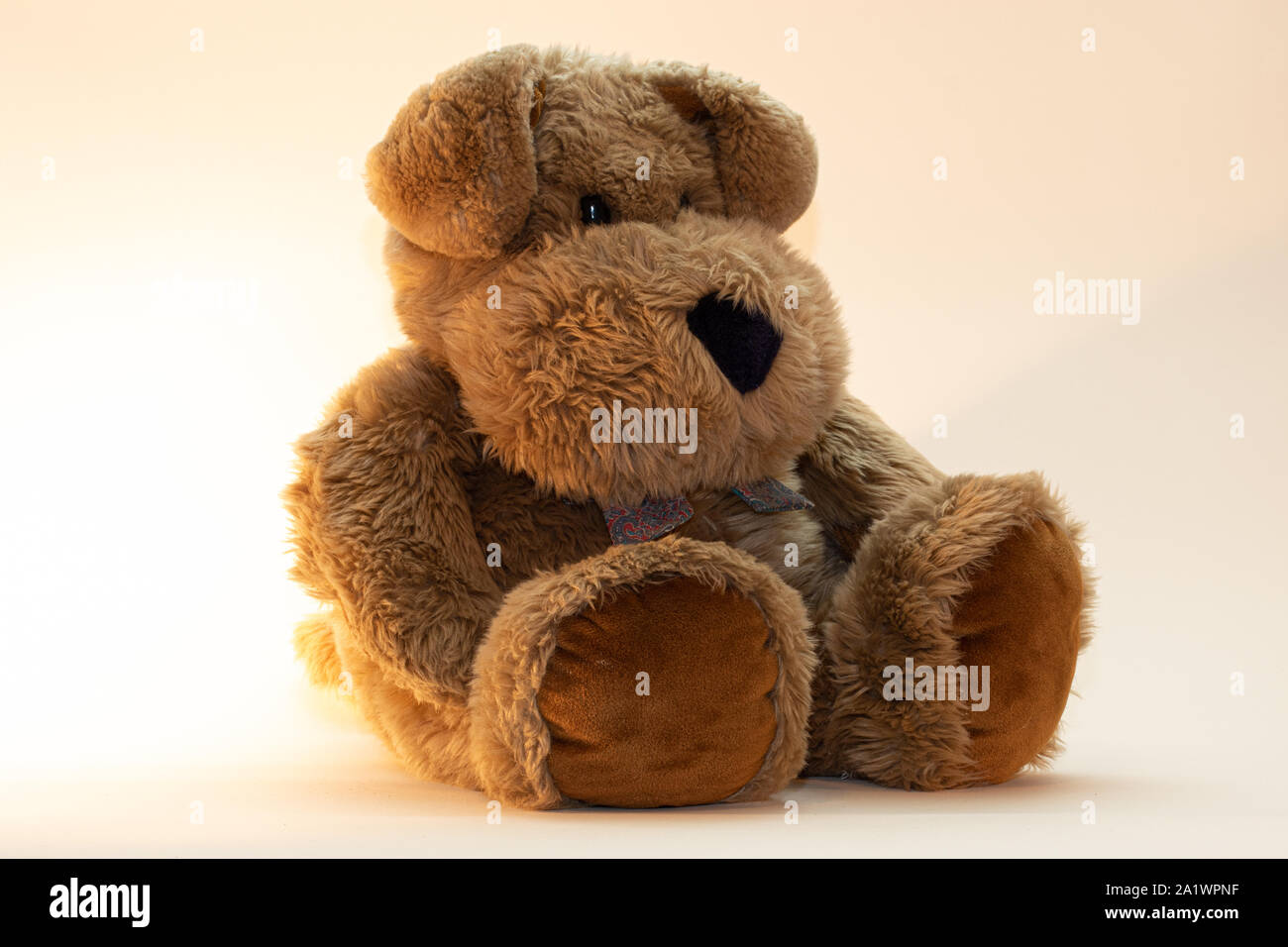 cute sitting brown teddy bear in front of white background Stock Photo ...