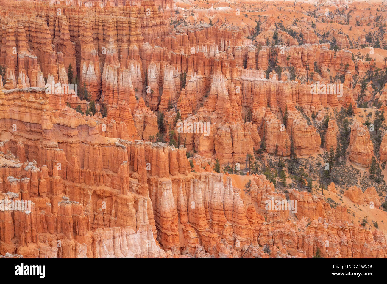 The incredible rock formations at Bryce Canyon National Park, National Park, United States of America, USA, travel destination, beautiful landscape, u Stock Photo