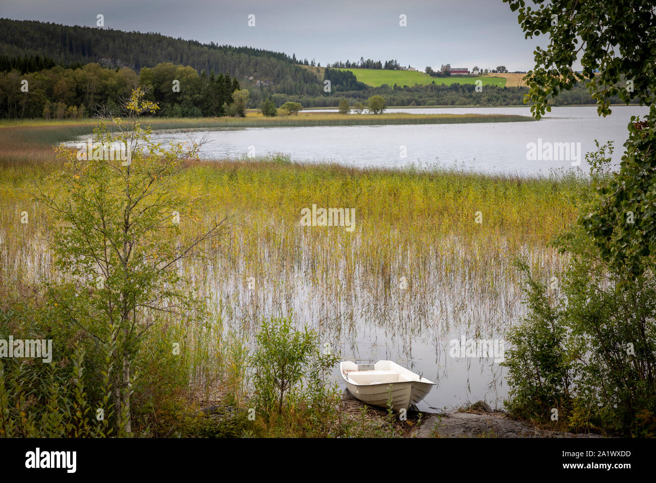 boat on lake lomsen in steinkjer, trondelag, norway Stock Photo