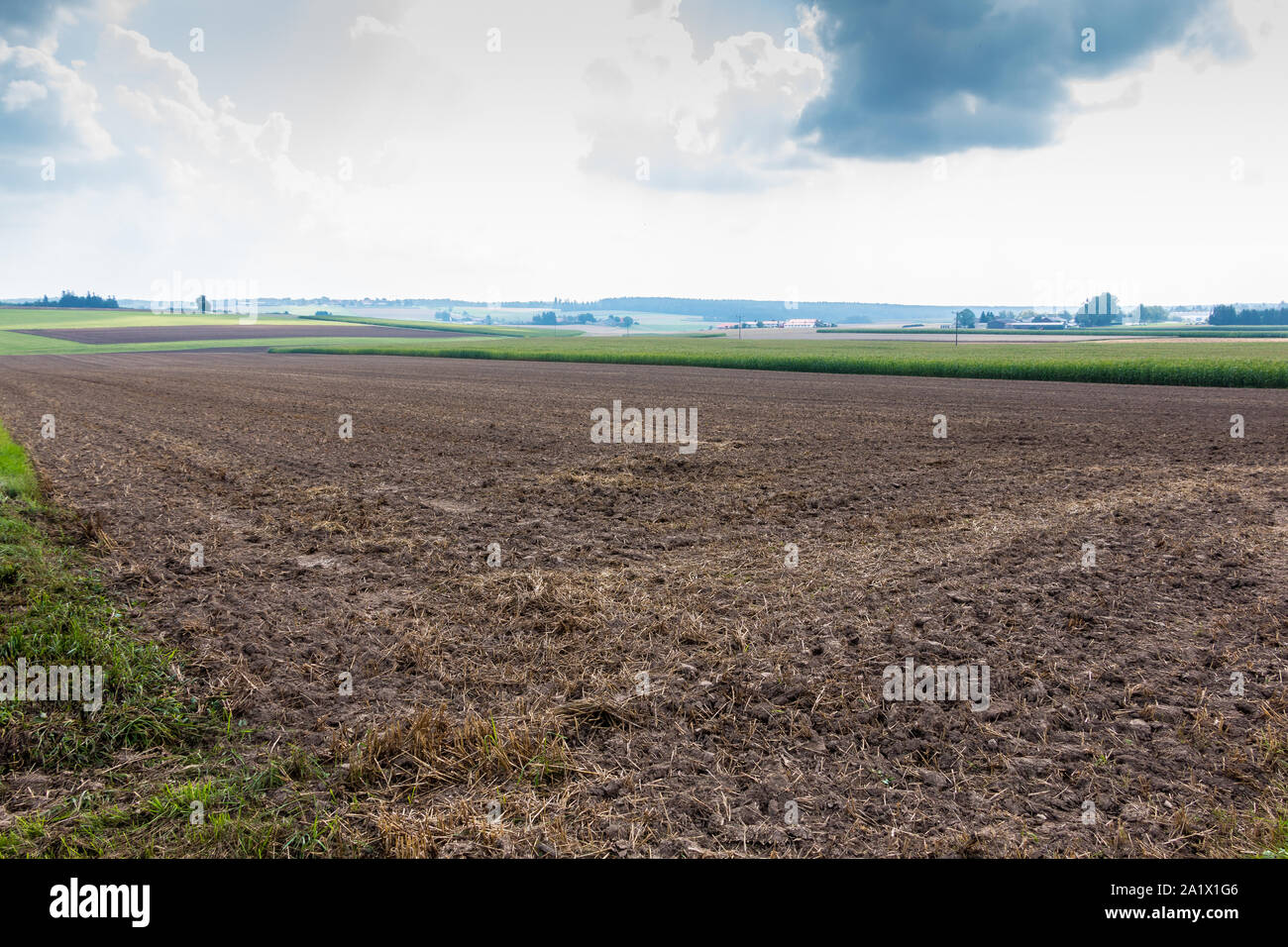 Fertile fields and green and brown soil Stock Photo