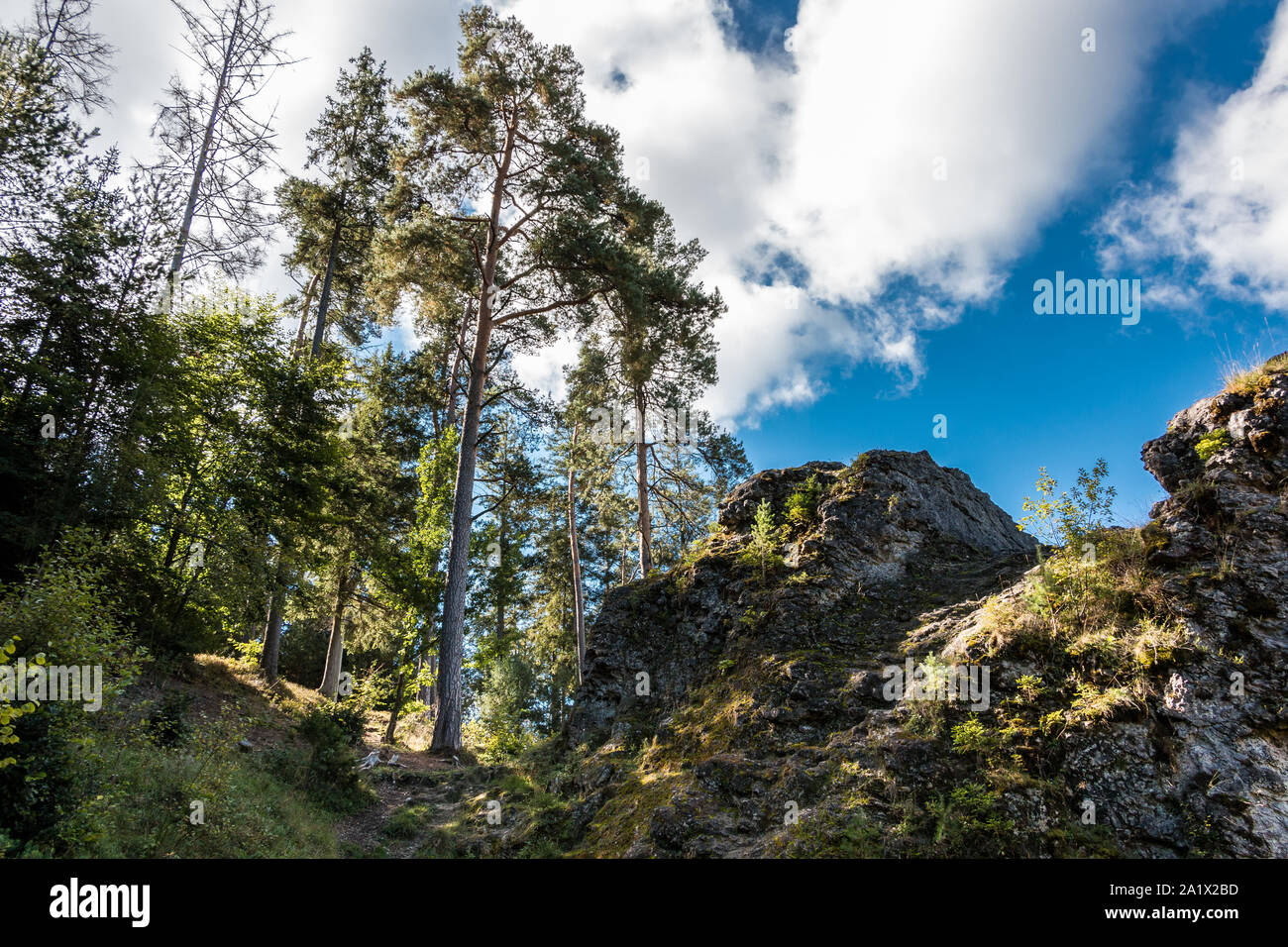 Sea of rocks with huge rocks and high trees Stock Photo - Alamy