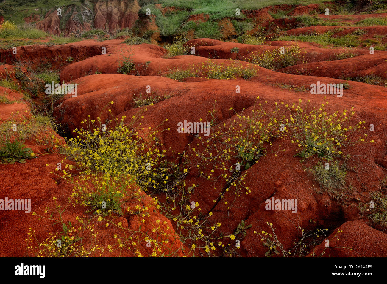 Lago Di Bauxite High Resolution Stock Photography and Images - Alamy