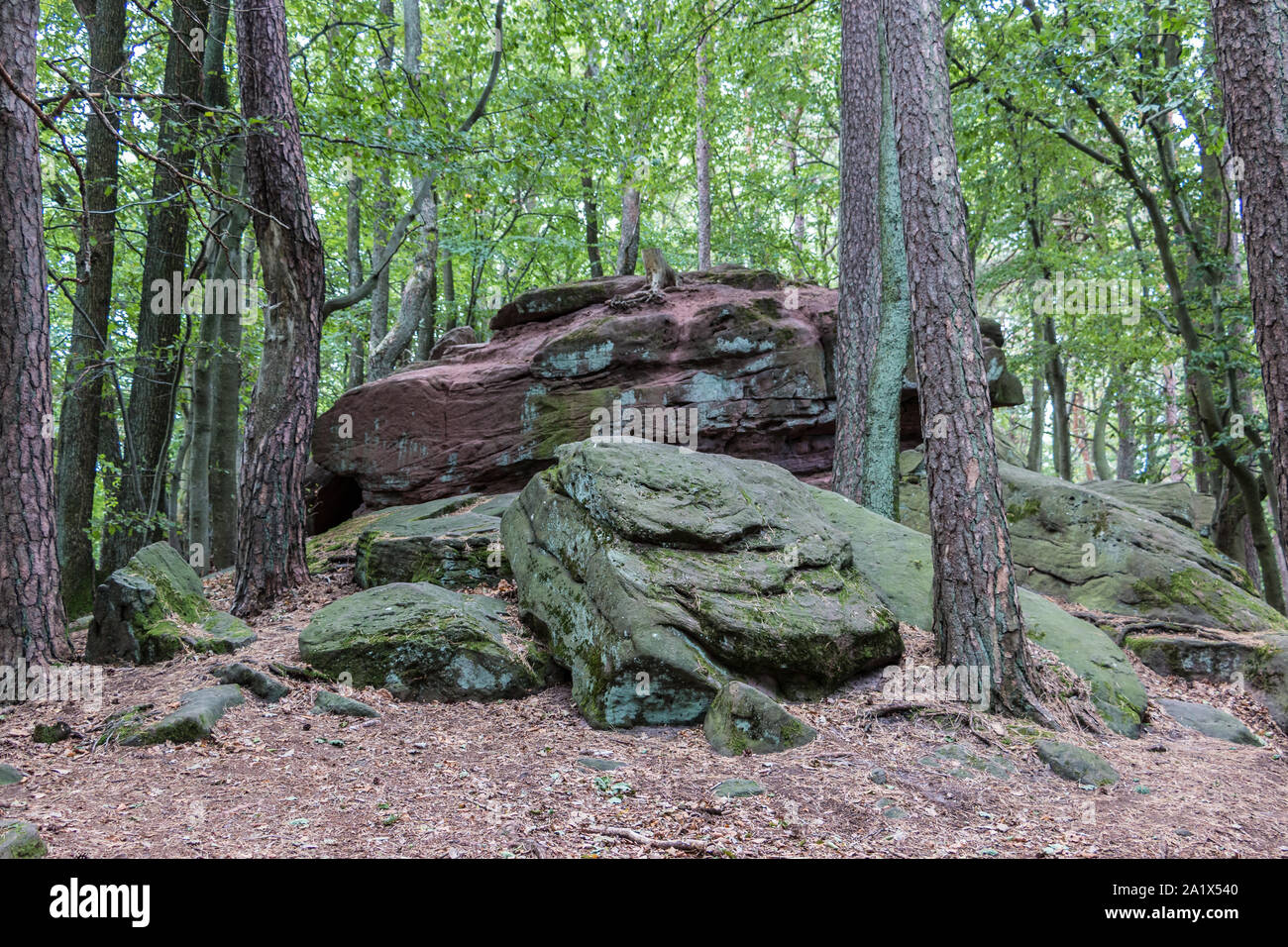 Big rocks in the middle of the green forest Stock Photo - Alamy