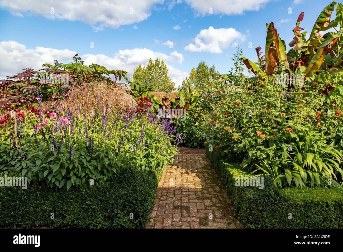 Inviting pathway along various ornamental flower and plant areas in ULTING WICK GARDEN, Maldon, England, United Kingdom. Stock Photo