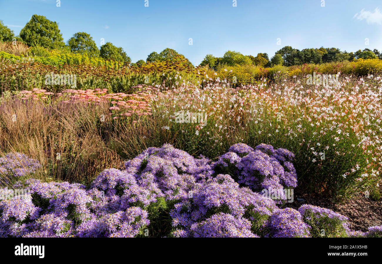 Floral abundance at RHS HYDE HALL, Chelmsford, Essex, England, United Kingdom. Stock Photo