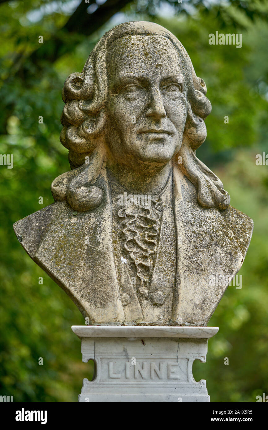 Bust of Carl von Linne Linnaeus the famous botanist Botanical Gardens