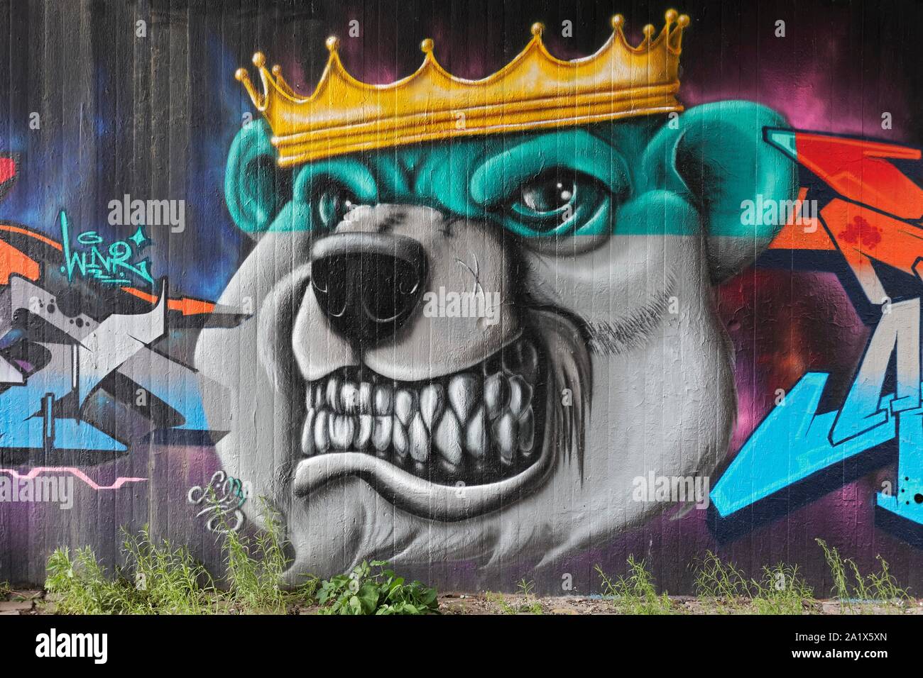 Graffiti, head of a bear with golden crown, bared teeth, Neuss, North Rhine-Westphalia, Germany Stock Photo