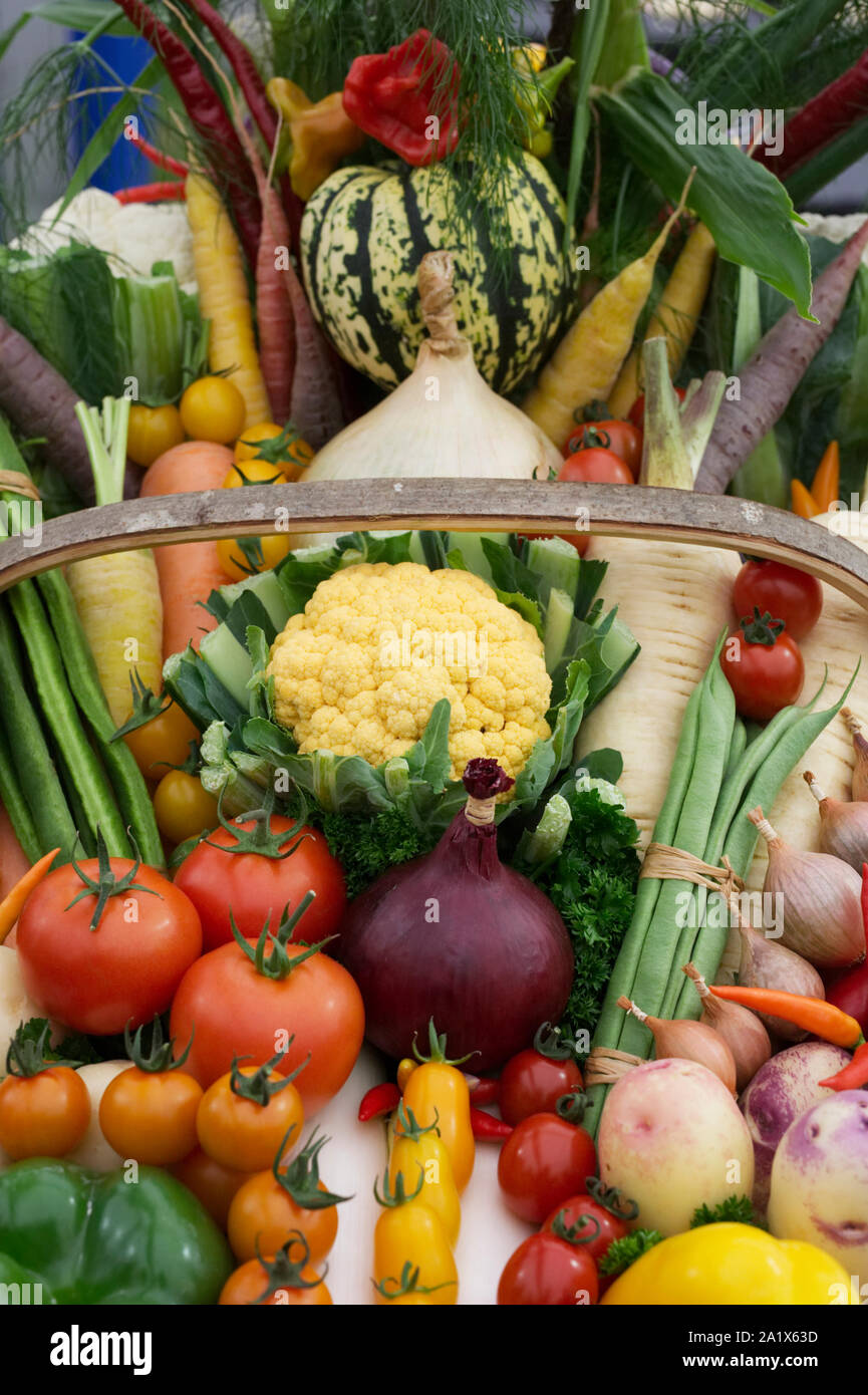 Harvest basket containing a selection of UK grown vegetables. Stock Photo