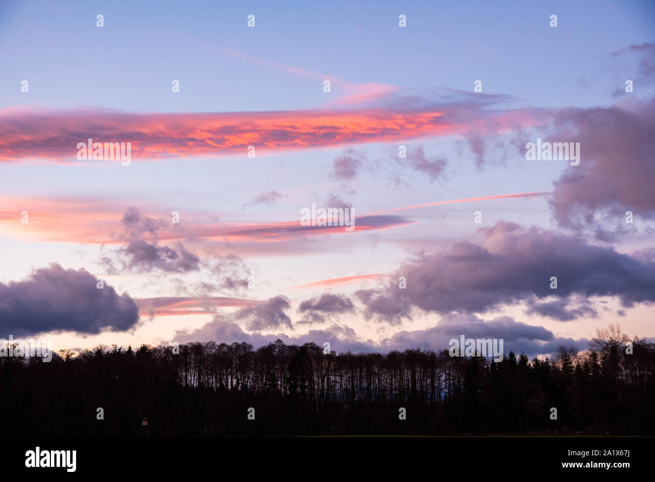 Sunset over forest with dramatic sky Stock Photo - Alamy