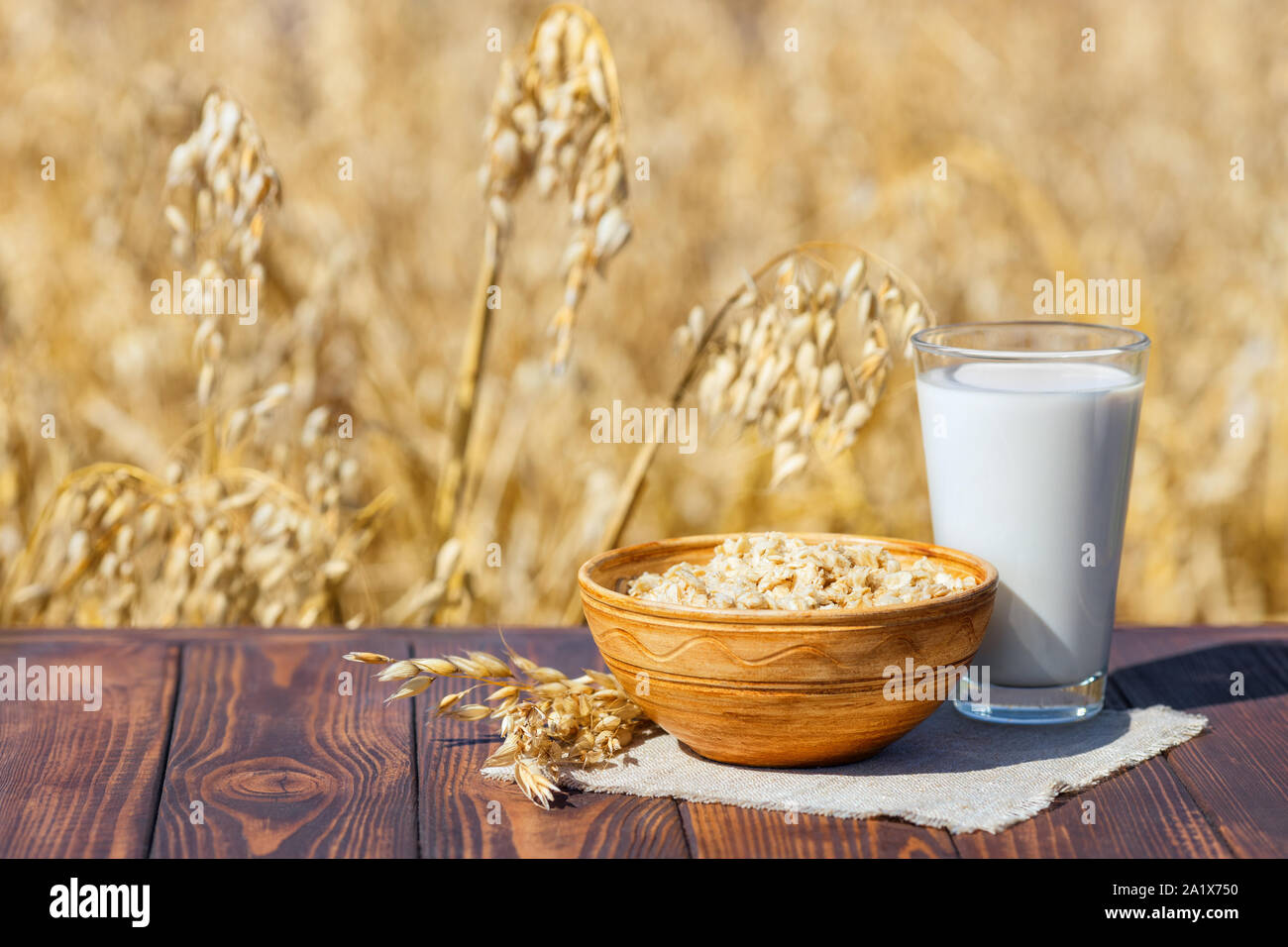 vegan oat milk in glass with oatmeal in bowl on table over against ripe cereal field Stock Photo