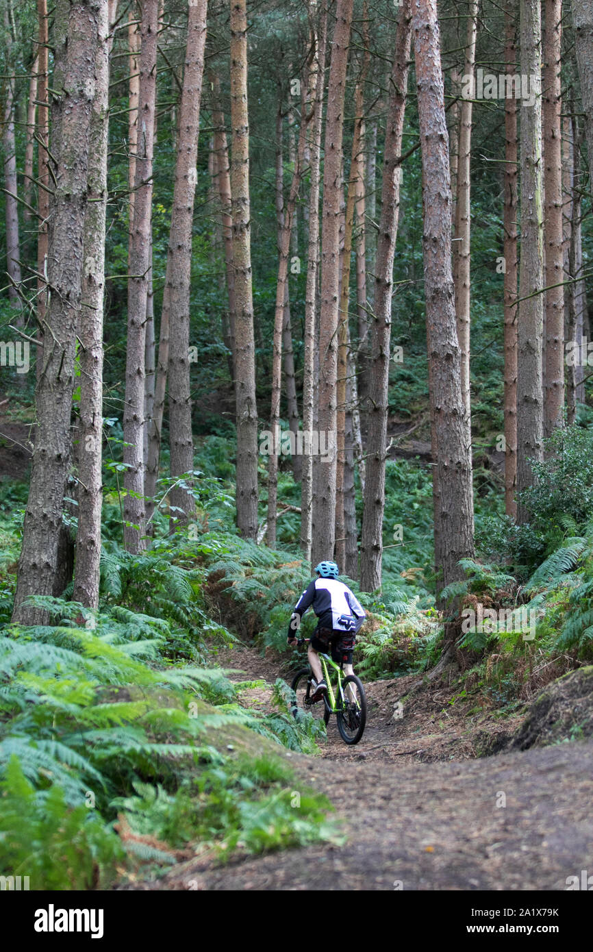 Teenage boy leaping around on a mountain biking on Kinver Edge forest track surrounded by tall pine trees. Stock Photo