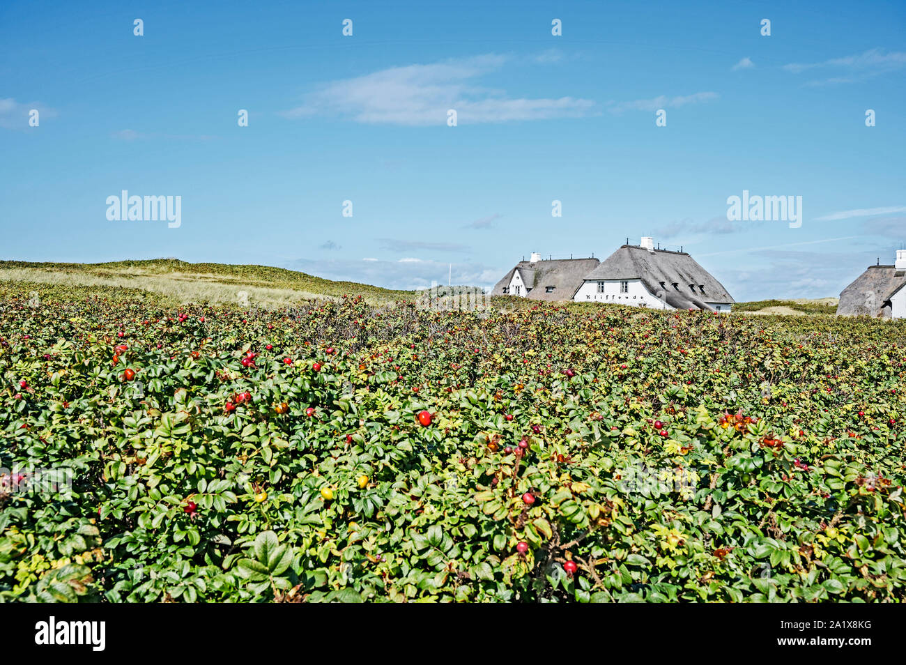 Thomas Mann Haus Stock Photos Thomas Mann Haus Stock Images Alamy