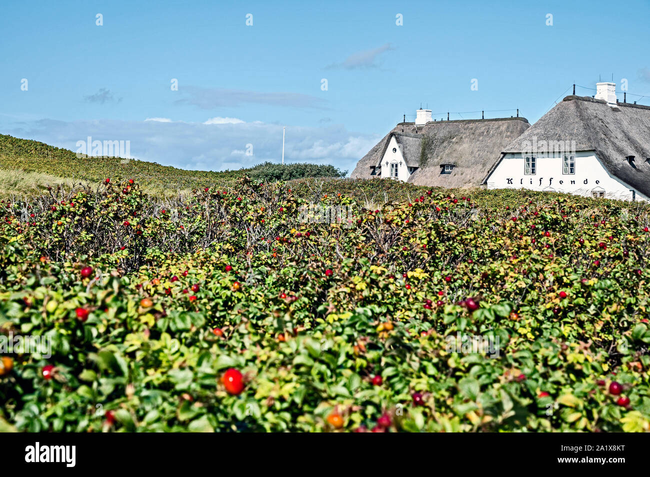 Thomas Mann Haus Stock Photos Thomas Mann Haus Stock Images Alamy