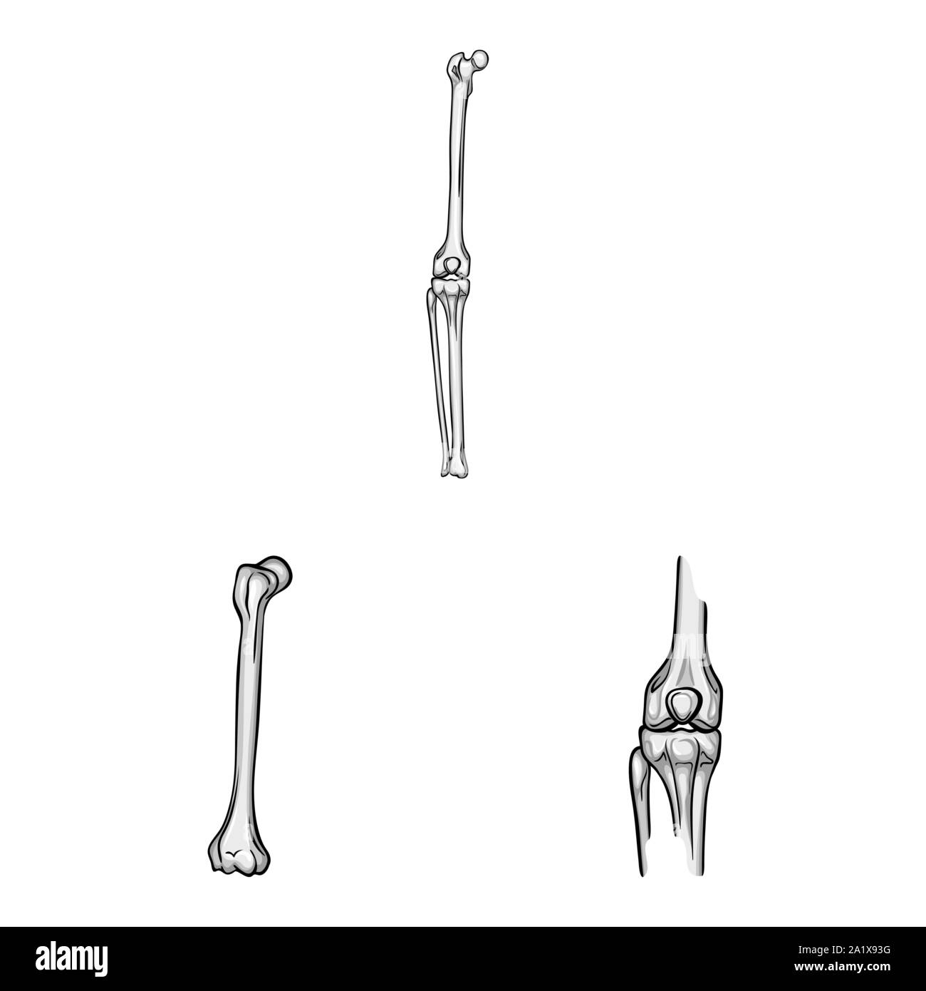 Vector Vectors Stock Vector Image & Art - Alamy