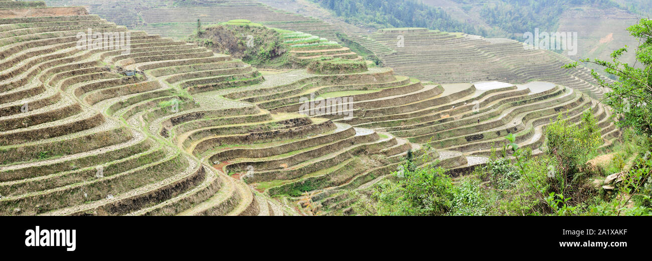 Longshen Rice Terraces near Guilin, Panorama Stock Photo