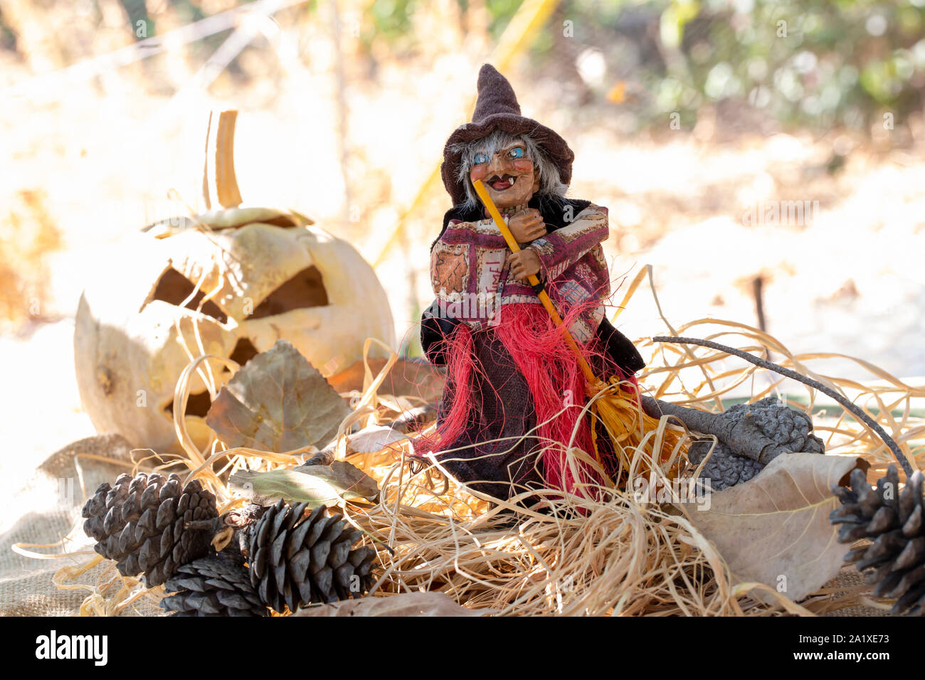 Halloween decorations, pumpkin and witch Stock Photo