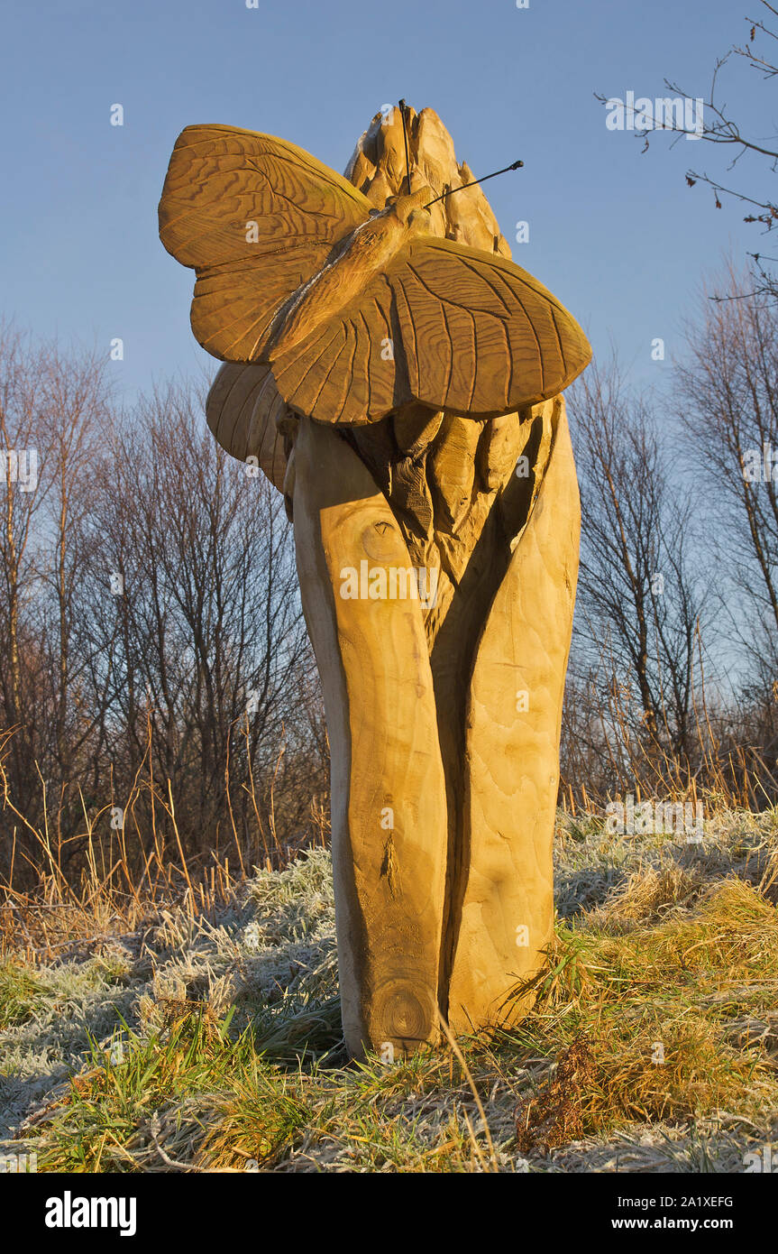 Wooden butterfly sculptures in Mabie Forest, Dumfries, SW Scotland Stock Photo