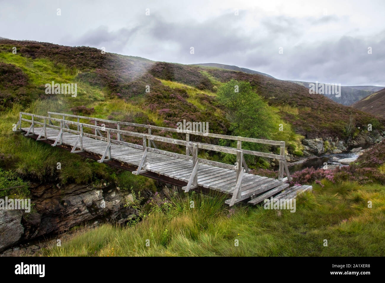 Wooden footbridge and hiking trail in Cairngorms National Park. Angus, Scotland, UK. Stock Photo