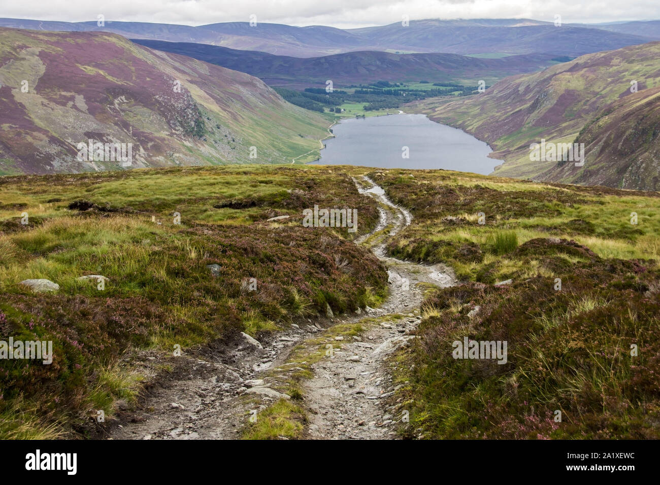 Loch Lee. Angus, Scotland, UK. South of the Grampian Mountains Stock