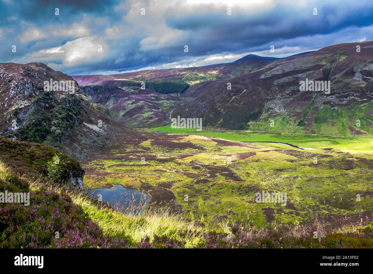Angus scotland hires stock photography and images Alamy