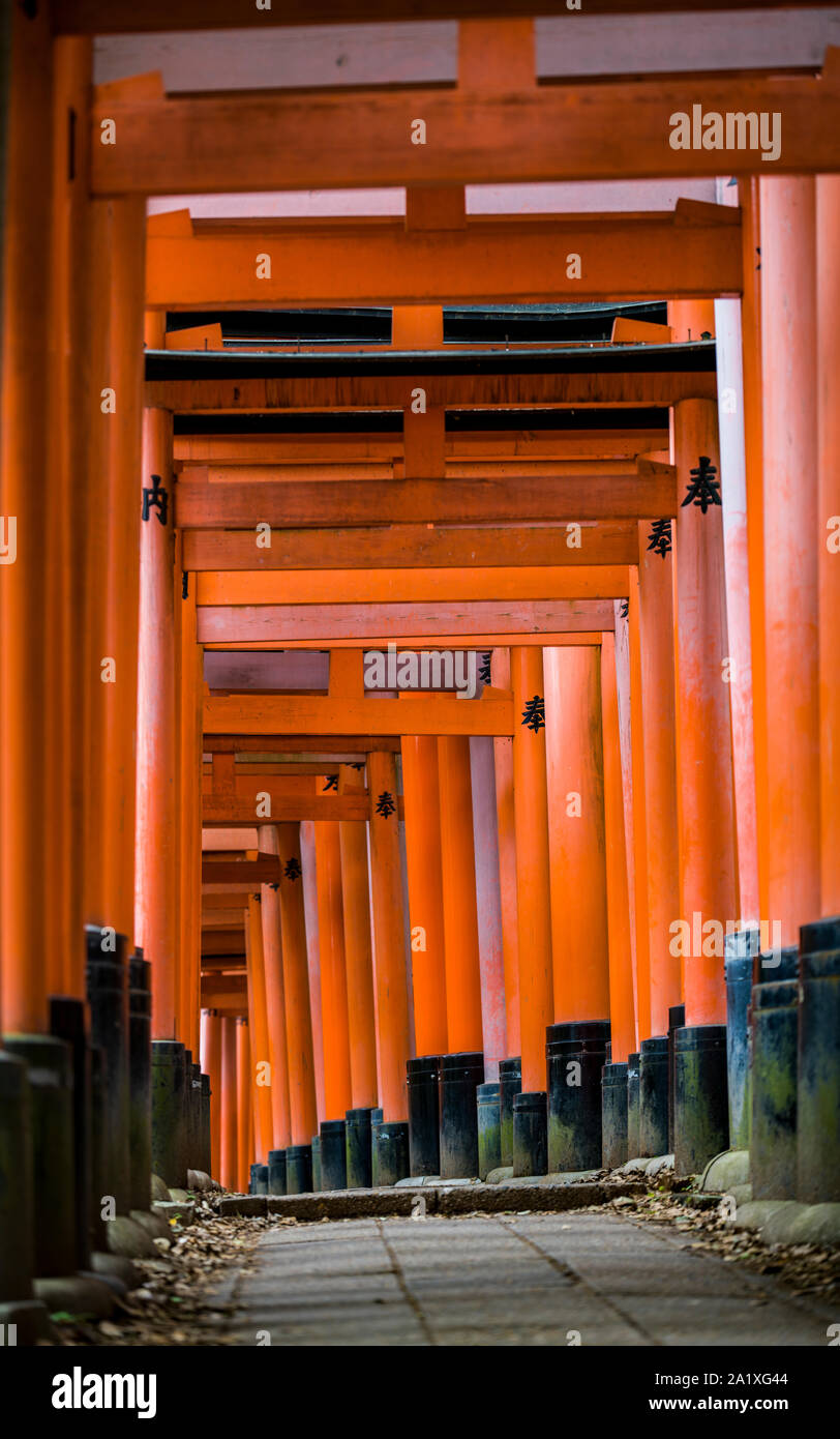 Red Torii / Gates of Inari Shrine in Kyoto, Japan Stock Photo