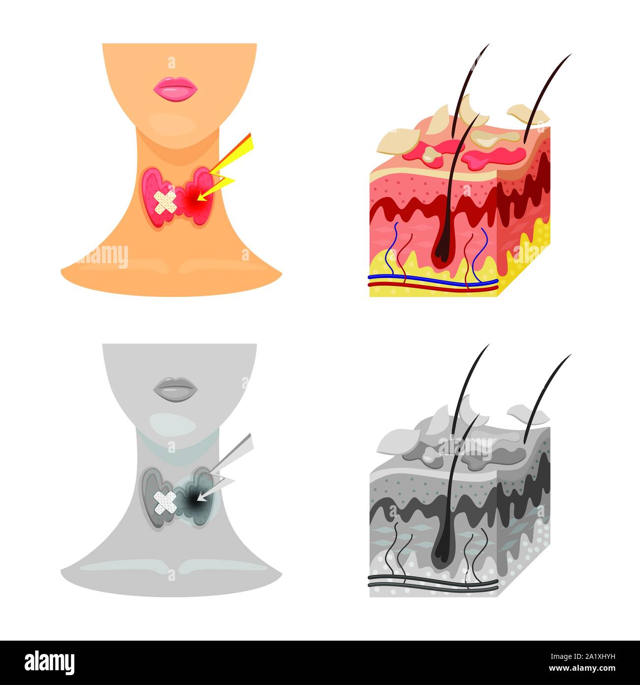 Vector Vectors Stock Vector Image & Art - Alamy