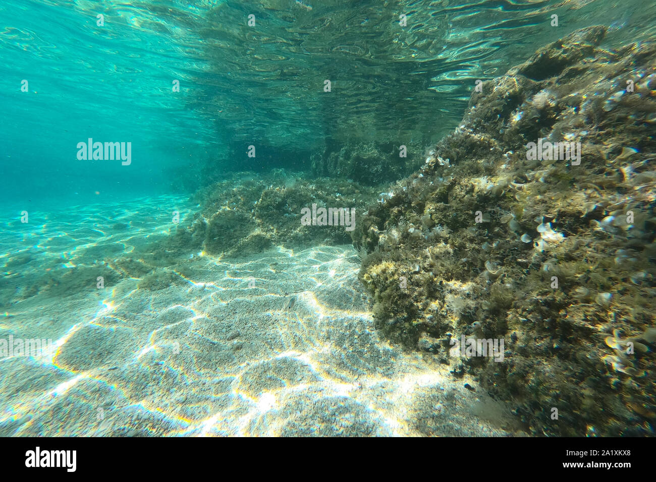 Underwater rocks hires stock photography and images Alamy