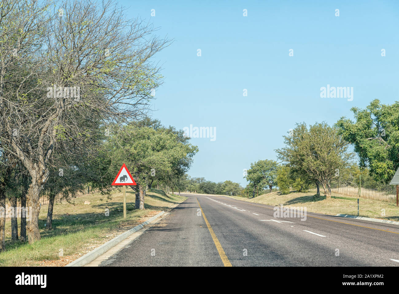 A road landscape on road R40 near Phalaborwa. An elephant warning sign is visible Stock Photo