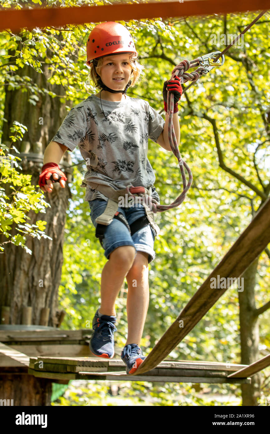 Lively harness hi-res stock photography and images - Alamy