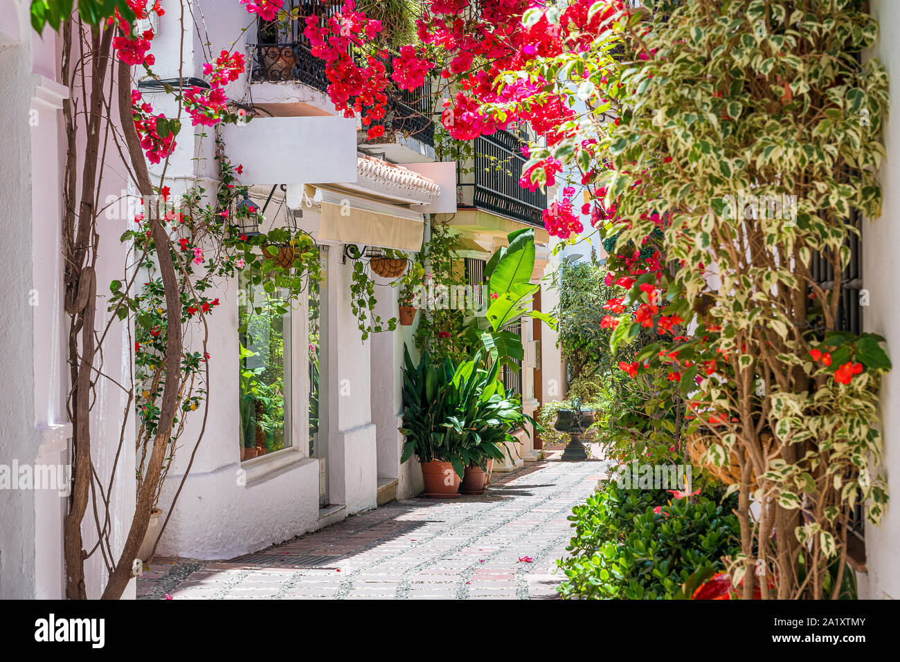 A picturesque and narrow street in Marbella old town, province of Malaga, Spain. Stock Photo