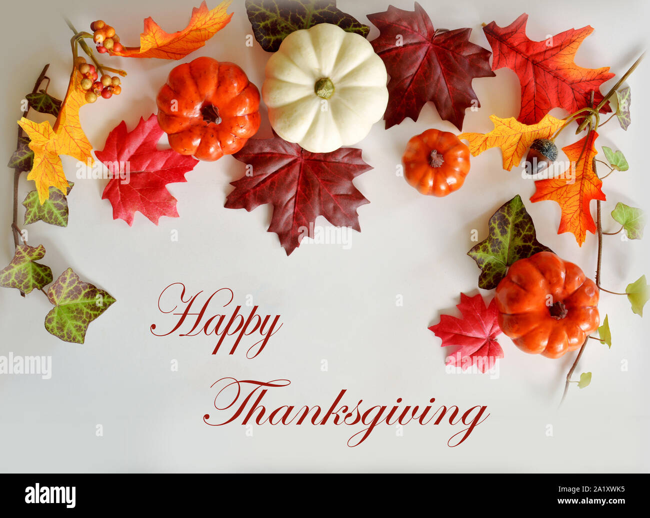 Beautiful colors of autumn with ornamental pumpkins and leaves on white ...