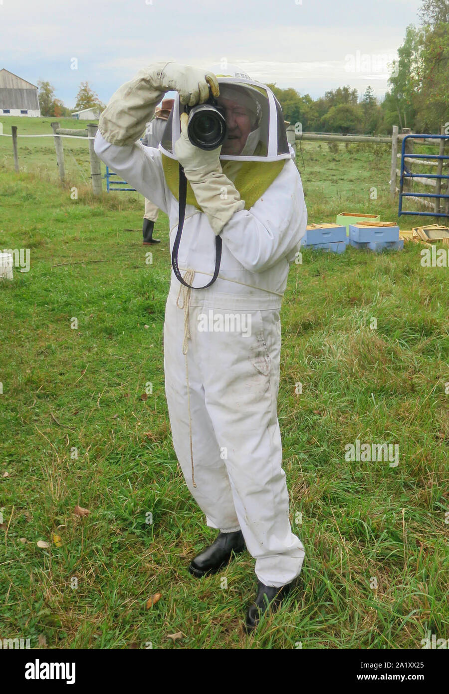 Honey bee Harvest by Beekeeper harvest the honey from his hives in late fall in Ontario, Canada