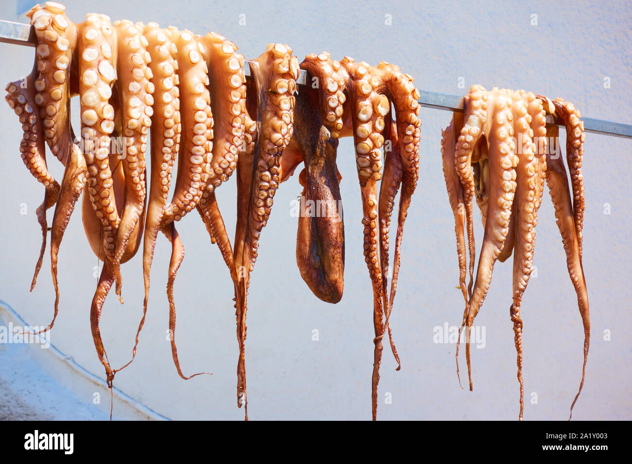 Drying the octopus in the sun at a greek tavern, Greece Stock Photo