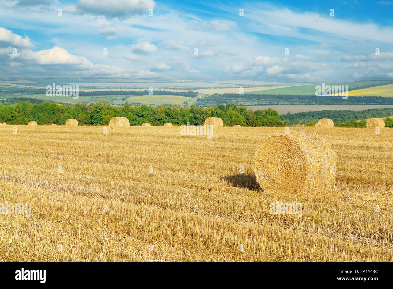 Straw bales on field after harvest and blue sky with clouds Stock Photo ...