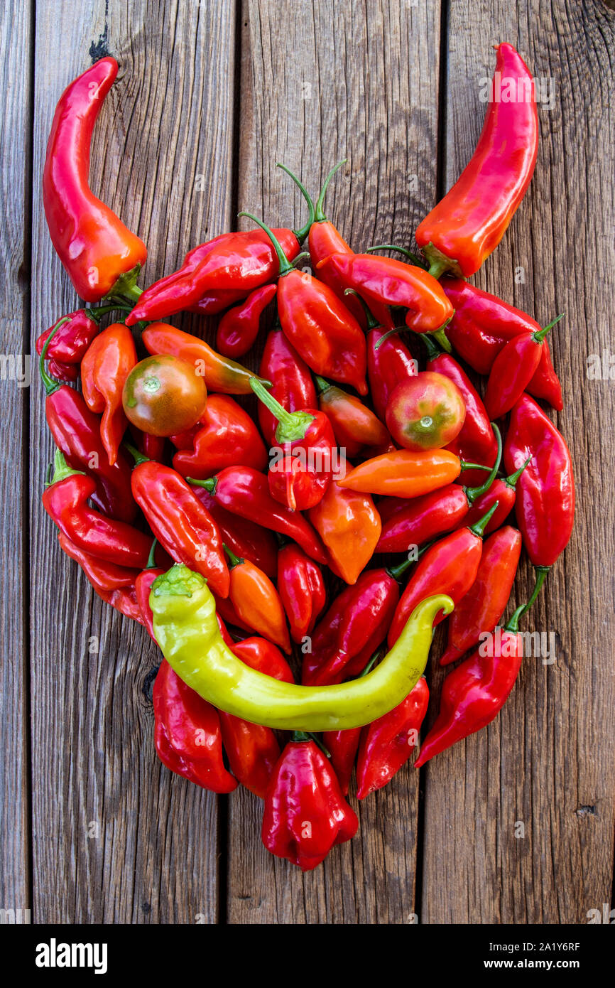 Habanero peppers on rustic wooden table. Stock Photo