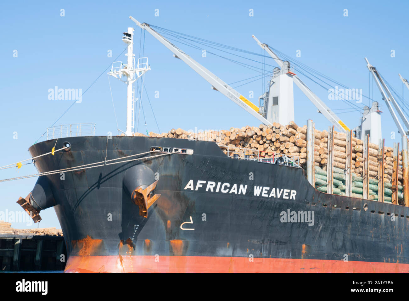 Tauranga New Zealand - September 21 2019; Port of Tauranga wharf with  log ship African Weaver  moored alongside Stock Photo