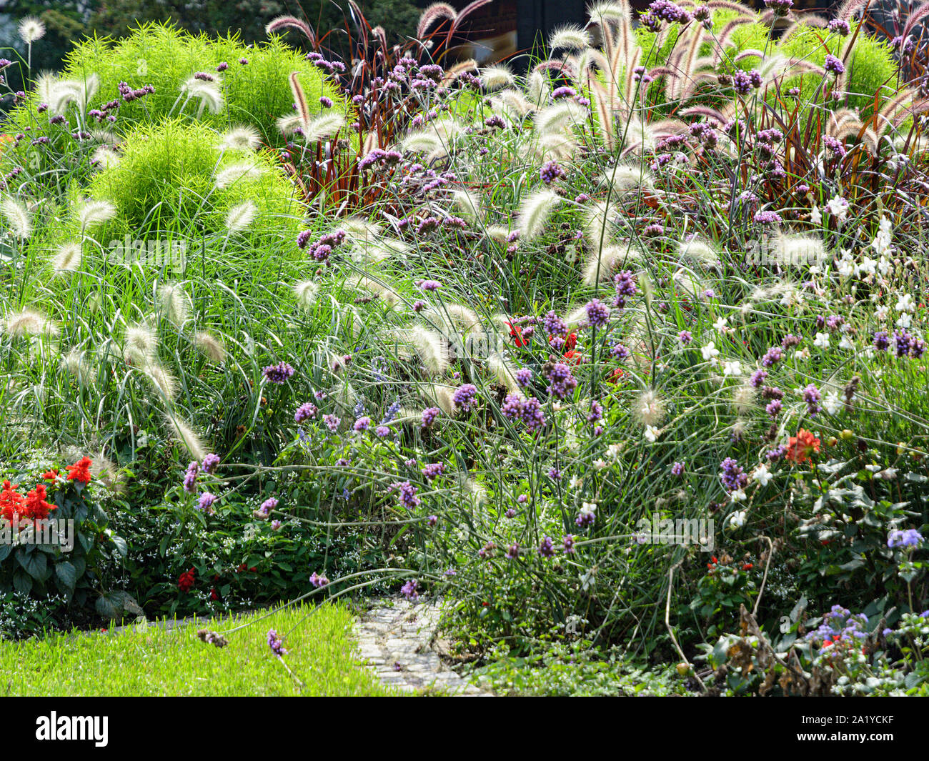 Ornamental blossoming flowerbed in autumn flower garden or urban park Stock Photo