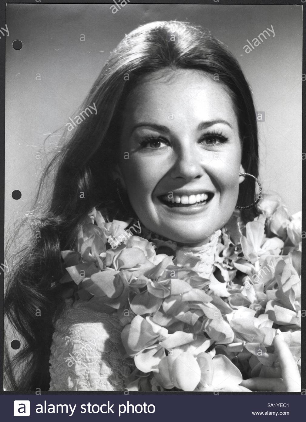 Shelley Fabares High Resolution Stock Photography and Images - Alamy