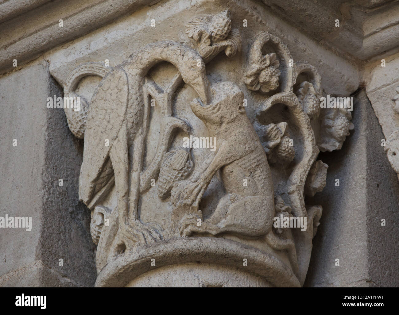 The wolf and the stork depicted in the Romanesque capital dated from the 12th century on the west portal of the Autun Cathedral (Cathédrale Saint-Lazare d'Autun) in Autun, Burgundy, France. The capital was probably carved by French Romanesque sculptor Gislebertus. Stock Photo