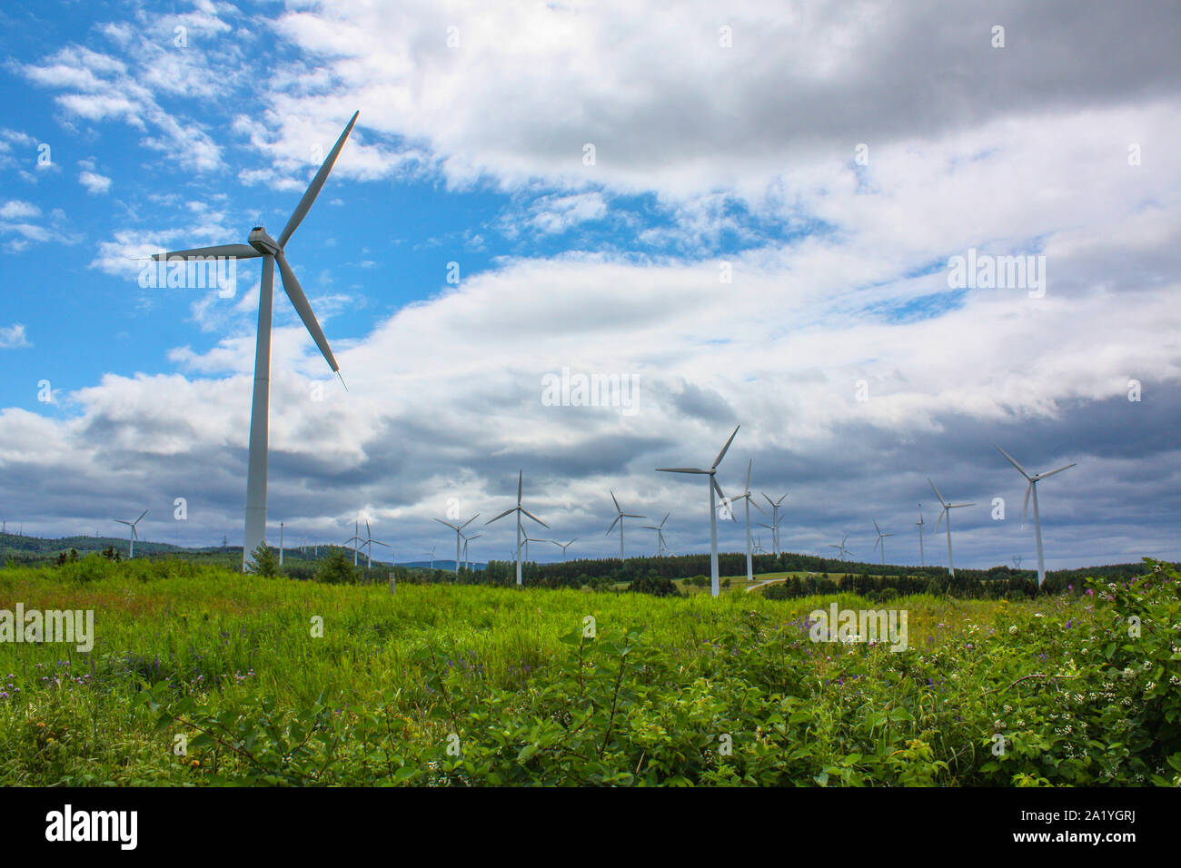 Wind turbines in green field under blue sky with clouds Stock Photo - Alamy
